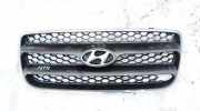 Kühlergrill Frontgrill Kühlergitter Hyundai Santa Fe, 2006.03 - 2012.09 865612B000,86561-2B000