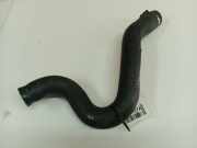 Kühlerschlauch Nissan Primera, P12 2002.01 - 2008.12 Gebraucht,
