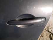 Türgriff Türaussengriff - Vorne Linke Renault Scenic, II 2006.06 - 2009.02 facelift Gebraucht,