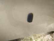 Waschwasserdüse Scheibenreinigung Ford Fiesta, V 2002.01 - 2004.12 Gebraucht,