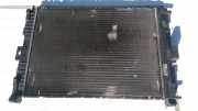 Wasserkühler Renault Megane, II 2002.11 - 2006.06 8200115541C, 872206D A450 I680 P25