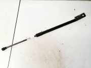 Gasdruckfeder Kofferraum Chevrolet Captiva, 2006.01 - 2011.06 96830123,