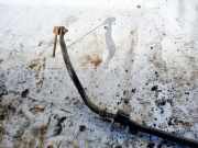 Stabilisator Vorne Nissan Pixo 2009 - 2013 Gebraucht,