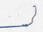 Stabilisator Vorne Audi 80, B3 1986.06 - 1991.09 Gebraucht,