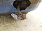 Türfangband Türbremse Türstopper - Hinten Linke Peugeot 206, 2002.07 - 2009.01 facelift Gebraucht,