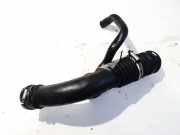 Schlauch für Luftversorgung Renault Scenic, II 2003.06 - 2006.06 9200219999,