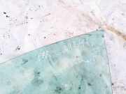 Seitenscheibe - Vorne Linke Volkswagen Passat, B5 1996.08 - 2000.11 Gebraucht , AFN