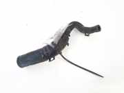 Kühlerschlauch Volkswagen Passat, B5+ 2000.11 - 2005.05 Gebraucht,