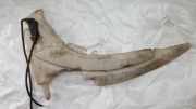 Scheibenwaschbehälter Vorne Wischwasserbehälter Ford Focus, 1998.10 - 2002.10 xs4117618c, xs41-17618-c xs41-17618-d xs4117618d