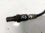 Lambdasonde -4 Drähte WEISS WEISS SCHWARZ GRAU Volkswagen Polo, IV 2005.04 - 2009.11 facelift 036906262aa,