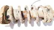 Fahrwerksfeder Hinterachse Honda FR-V, 2004.08 - 2009.12 Gebraucht,