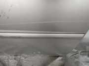 Zierleiste Tür Zier-Schutzleiste - Vorne Rechts Opel Vectra, C 2002.04 - 2005.10 Gebraucht,