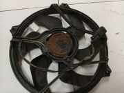 Kühlerlüfter Lüftermotor Citroen C4, I 2004.11 - 2008.06 Used, Used