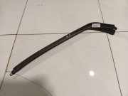 Zierleiste Leiste - Vorne Linke Renault Scenic, II 2003.06 - 2006.06 02001C7196,02001C7196 MP5510