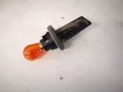 Glühbirnenfassung Blinker Renault Scenic, II 2003.06 - 2006.06 Gebraucht,
