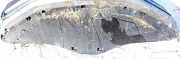 Motor-/Unterfahrschutz vorne Jaguar XF, X250 2008.01 - 2012.01 Gebraucht,