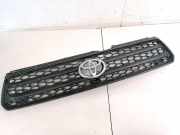 Kühlergrill Frontgrill Kühlergitter Toyota RAV-4, II 2000.09 - 2005.11 PD96230A1613,