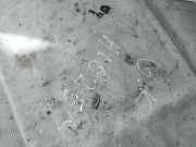 Seitenscheibe - Hinten Linke Honda Jazz, 2001.12 - 2005.04 as2,