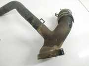 K?hlmittelflansch Toyota Avensis Verso, 2001.08 - 2009.11 Gebraucht,