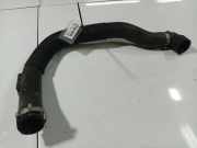Kühlerschlauch Peugeot 407, 2004.05 - 2010.12 Gebraucht,