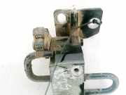 Türscharnier Hinten Volkswagen Passat, B6 2005.08 - 2010.11 Gebraucht , BLS