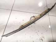 Kennzeichenleuchte Volkswagen Passat, B5+ 2000.11 - 2005.05 96649384, AVB