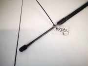 Gasdruckfeder Kofferraum Skoda Octavia, II 2004.02 - 2009.03 Gebraucht,