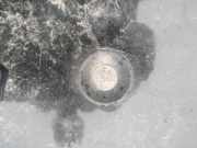 Sensor für Einparkhilfe - HINTEN Ford Focus, 2004.11 - 2008.06 Gebraucht,