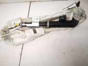 Kopfairbag - Vorne Linke Renault Espace, IV 2002.11 - 2014.12 8200104450b,8200104450