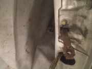 Türfangband Türbremse Türstopper - Vorne Linke Ford Galaxy, Mk I 1995.03 - 2000.04 Gebraucht,