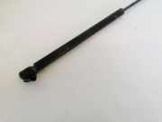 Gasdruckfeder Kofferraum Toyota Yaris, I (XP10) 2003.03 - 2005.09 facelift 689500d010, 9165lf0245n