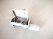 Türscharnier Vorne Renault Zoe I 2012 - 2020.06 Gebraucht,