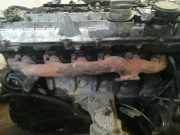 Abgaskrümmer Mercedes-Benz W220, 1998.10 - 2005.08 Gebraucht ,