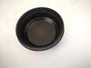 Blende Scheinwerfer - Vorne Renault Espace, IV 2002.11 - 2014.12 15619100, 156191-00