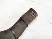 Kühlerschlauch Peugeot 207, 2006.02 - 2009.06 Gebraucht ,