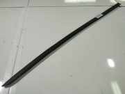 Zierleiste Leiste - Vorne Linke Audi A8, D3 2002.09 - 2005.6 Gebraucht,