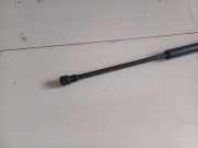 Gasfeder für Motorhaube Citroen Xsara, I 1997.04 - 2000.09 9512GP, 9512GP 0300N 152 98 A23 96.296.189.80 15298A23 9629618980