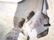 Radhausschale - Hinten Rechts Mercedes-Benz C219, I 2004.10 - 2011.01 c219r,