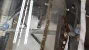 Fensterheber - Hinten Rechts Audi 100, C3 1982.07 - 1991.01 Gebraucht ,
