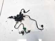 Kraftstoffverteiler Nissan NV200, M20 2009 --> 8200584034,H8200334367