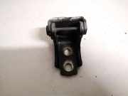 Türscharnier Hinten Renault Megane, III 2008.11 - 2012.06 Gebraucht,