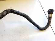 K?hlmittelrohrleitung Tesla Model Y, 2020 --> 162959300b,1629593-00-b