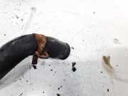 K?hlerschlauch Subaru Legacy, BL, BP 2003.09 - 2009.12 Gebraucht,