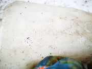 Scheibenwaschbeh?lter Vorne Wischwasserbeh?lter Skoda Praktik, I 2006.01 - 2010.06 6q0955453,6q0955453n