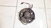 Kühlerlüfter Lüftermotor Volkswagen Passat, B5+ 2000.11 - 2005.05 Gebraucht, AWX