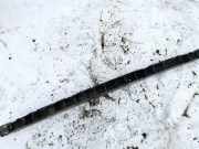 Stoßstangenhalter - Hinten Volkswagen Polo, IV 2005.04 - 2009.11 facelift 6q6807863, BME