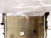 Wasserkühler Renault Kangoo, 2008.02 - 2020 8200455801,