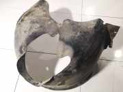 Radhausschale - Vorne Linke Volkswagen Touareg, 2002.10 - 2007.09 7L6809961,7L6809961 58995 BKS