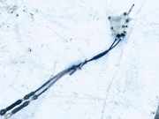 Schaltgestänge - Schaltseile Toyota Corolla Verso, II 2001.09 - 2004.05 Gebraucht,