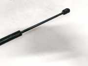 Gasdruckfeder Kofferraum Citroen C3, I 2002.02 - 2005.06 9639853880,